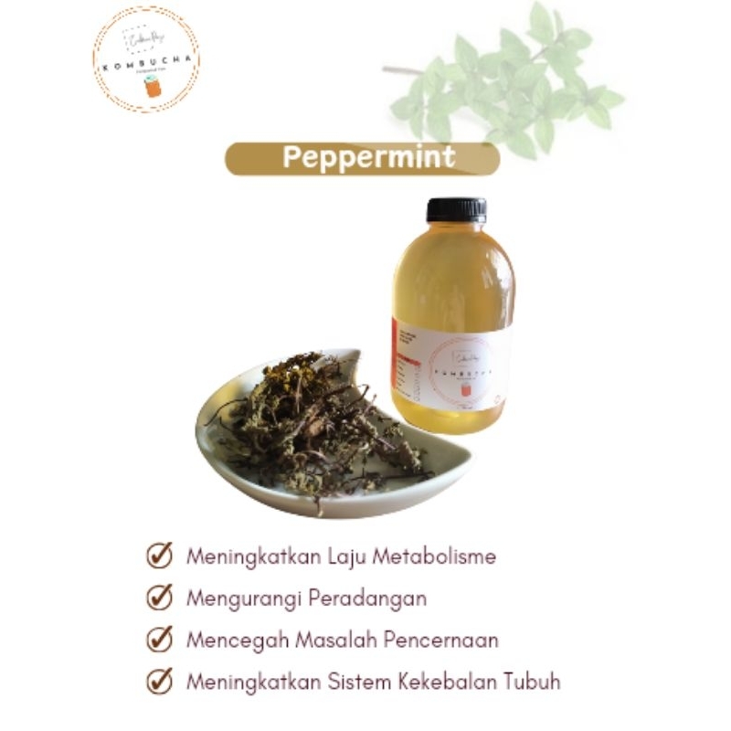 

Kombucha Peppermint