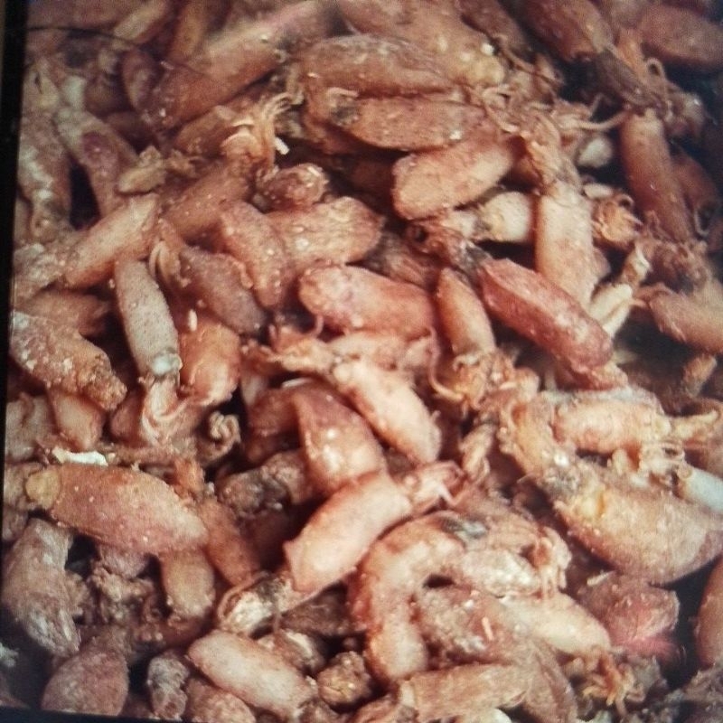 

IKAN CUMI ASIN UK SEDANG