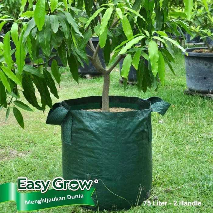 EG/var - Planter Bag Easy Grow size 11L, 18L, 25L, 28L, 35L, 50L, 75L, 100L, 200L
