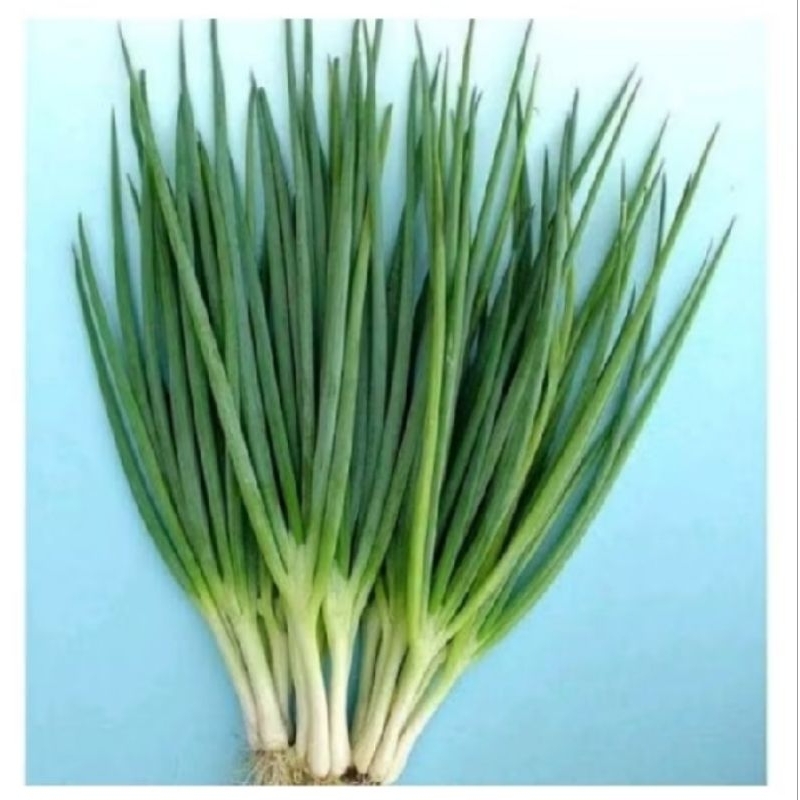 

daun bawang 100 grm