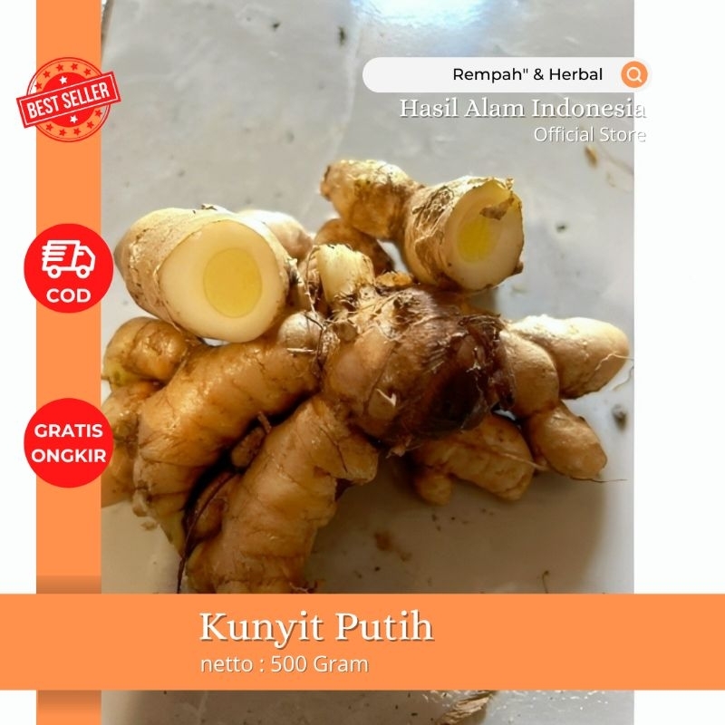 

kunyit putih segar organik 500 gram