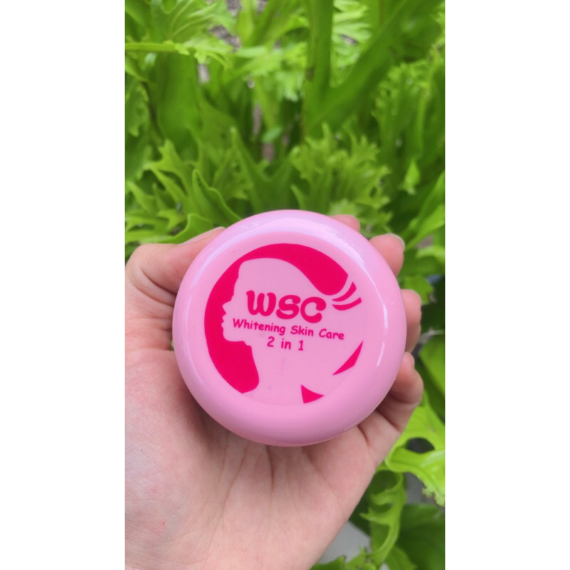 WSC2in1