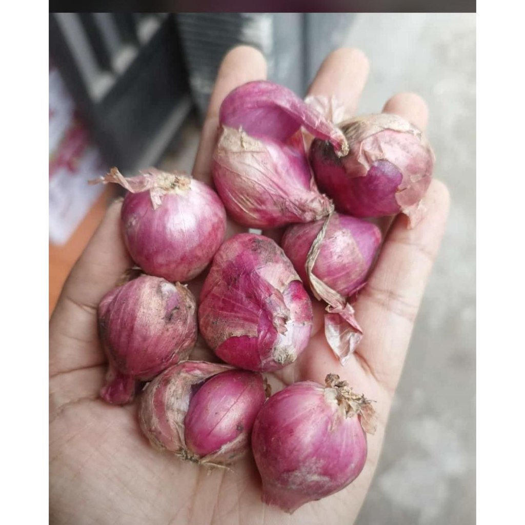 

Bawang Merah Kering Ukuran Sedang 1kg