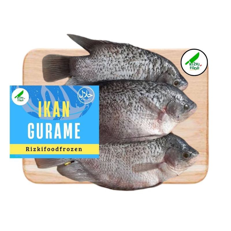 

Ikan Gurame Isi 3 Ekor +- @1kg