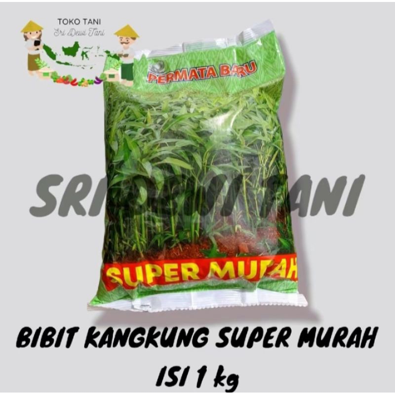 

bibit kangkung super murah