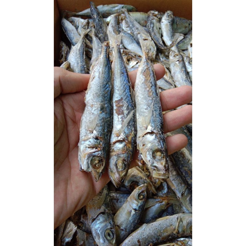 

Ikan asin layang rebus murah 500gr