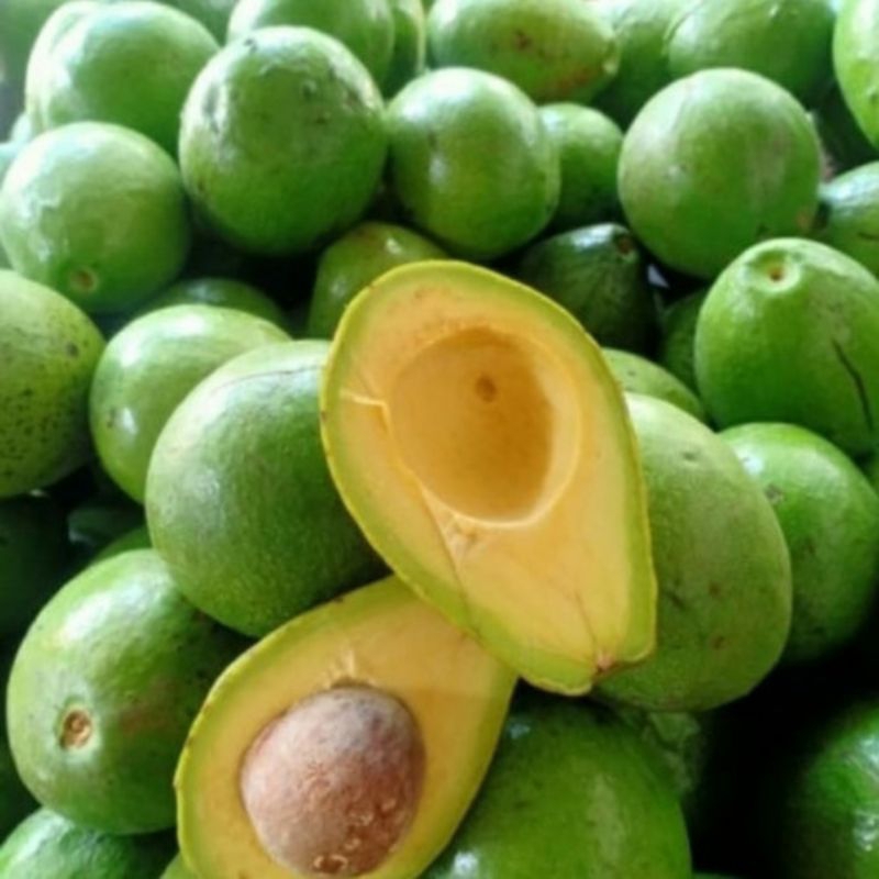 

(1 Kg) Alpukat mentega isi 6-9 (mentah)