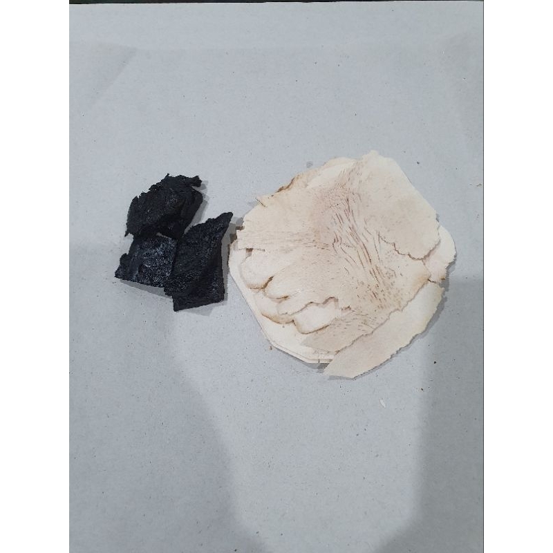 

ShengDi TuFu 生地 土茯 / Cheti Thohok / Ramuan herbal untuk darah kotor