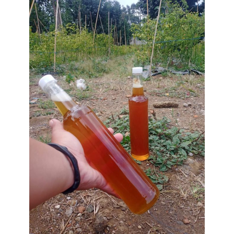 

Madu murni asli tanpa bahan pengawrt berat 400 ml free packing kardus n buble wrap