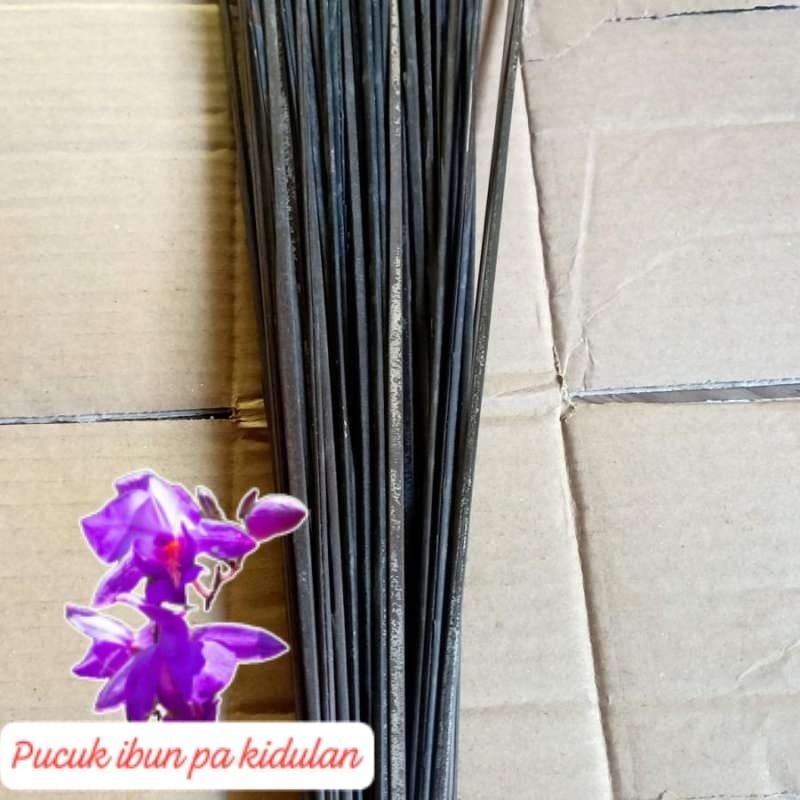 

lidi harupat aren/20pcs