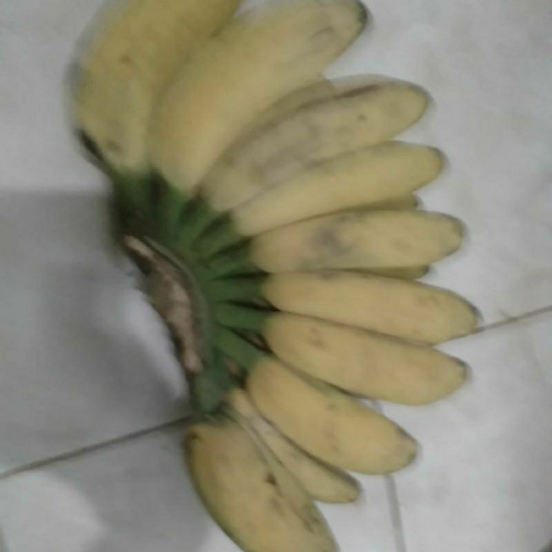 

Pisang Kepok Gajih merah matang
