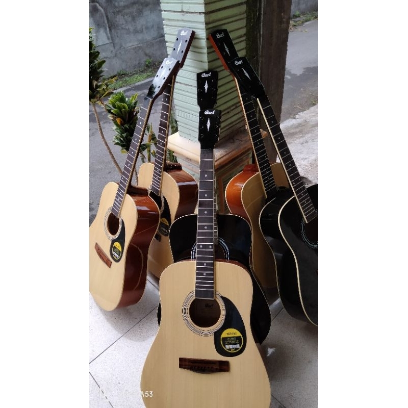Gitar cort