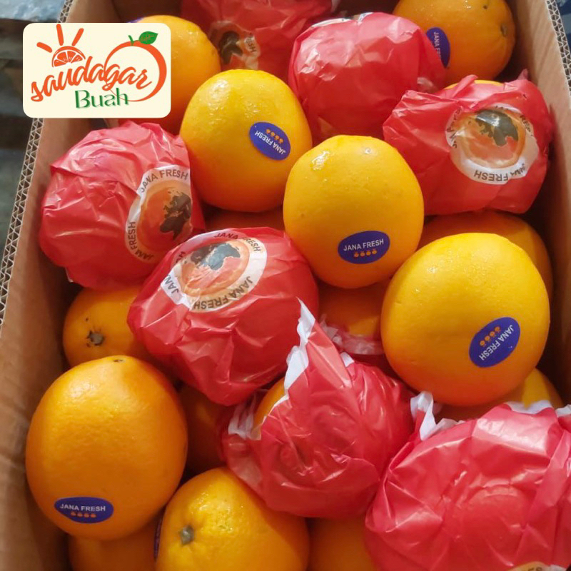 

BUAH JERUK POTONG JERUK JUS ORANGE VALENCIA 1KG