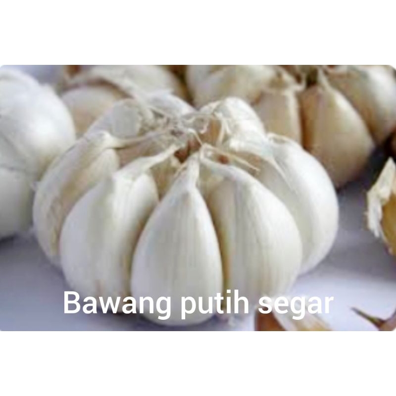 

Bawang putih bersih 1kg murah