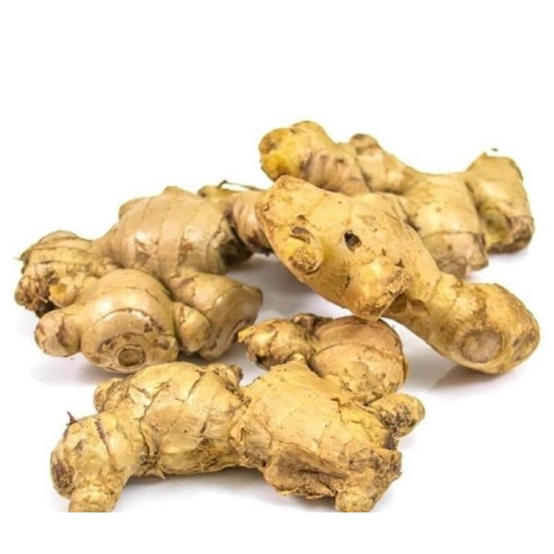 

JAHE 100% ASLI ORIGINAL PILIHAN BERKUALITAS / JAHE SUPER / JAHE PILIHAN