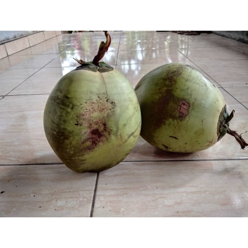 

Ready kelapa muda/degan