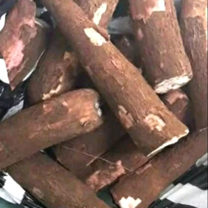 

SINGKONG MENTAH 500gram