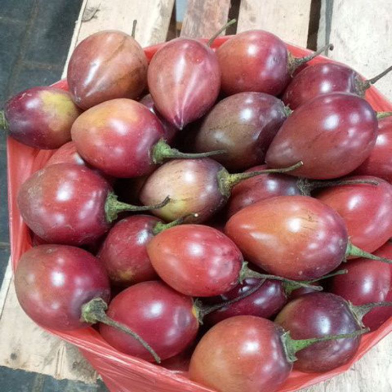 

Terong Belanda (1kg)