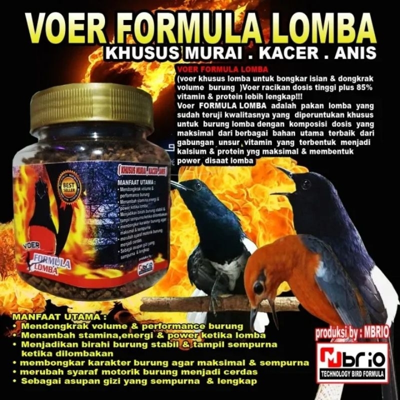 Voer murai formula lomba/Pakan Burung Kacer Dan Anis Voer Formula