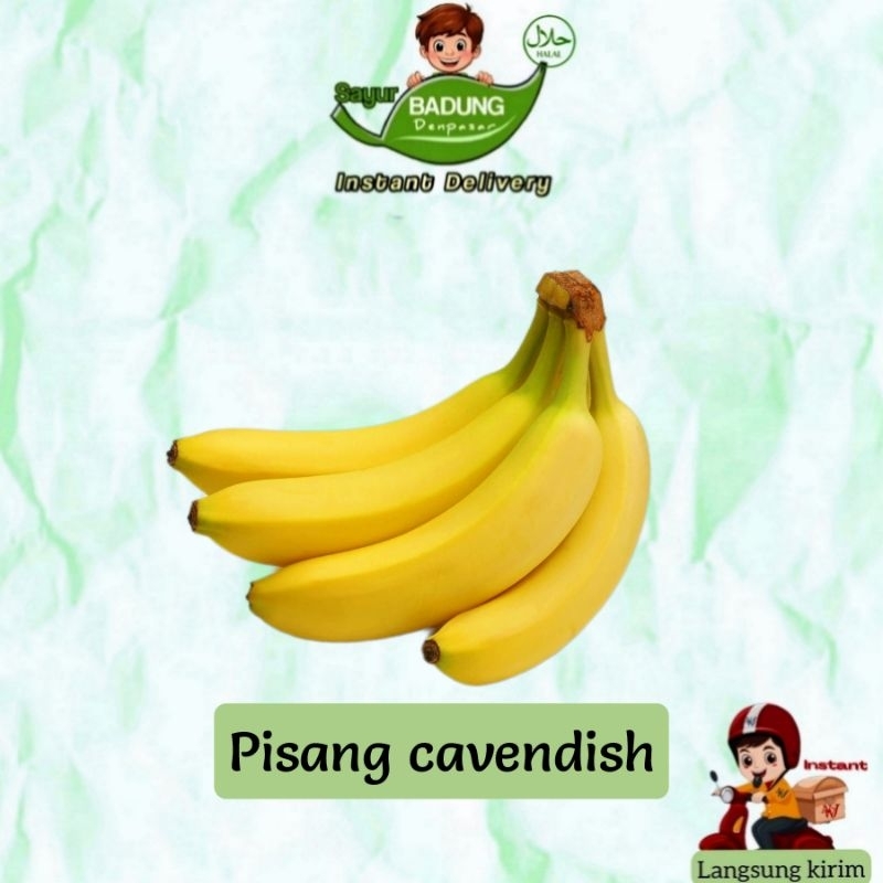 

Buah Pisang Cavendish _ Badung