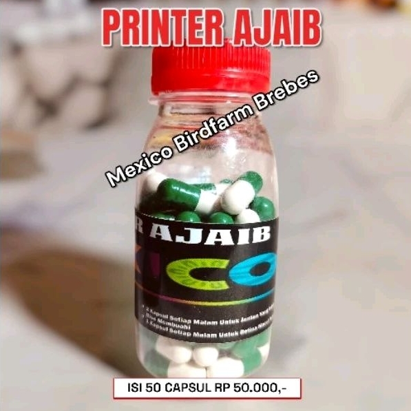 SPRINTER AJAIB - PRODUKSI MEXICO BIRDFARM BREBES