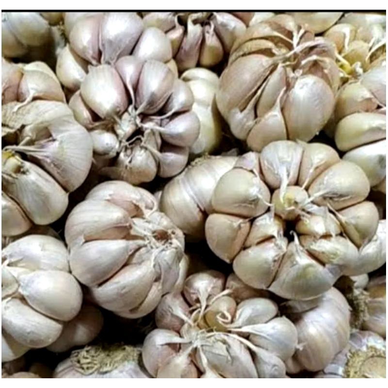 

BAWANG PUTIH 500gram