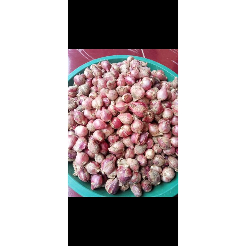 

Bawang merah fresh 250 gram, 500 gram, 1kg