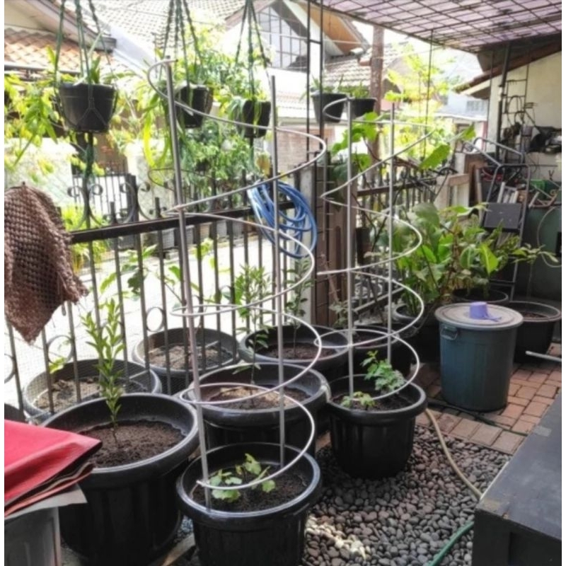 Tiang Rambatan Tanaman Anggur Tabulampot Alumunium 150cm Ajir Spiral