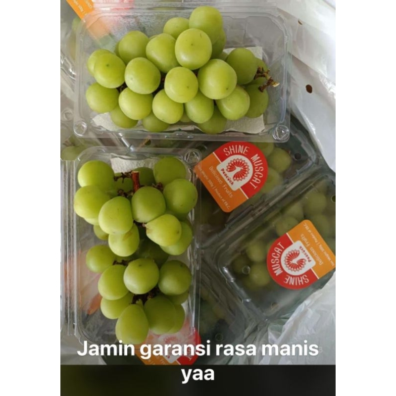 

anggur shine muscat peacock berat 500 grm/pac