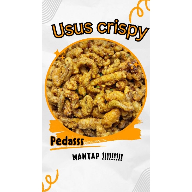 

Usus Crispy Renyah Pedas 250 gram