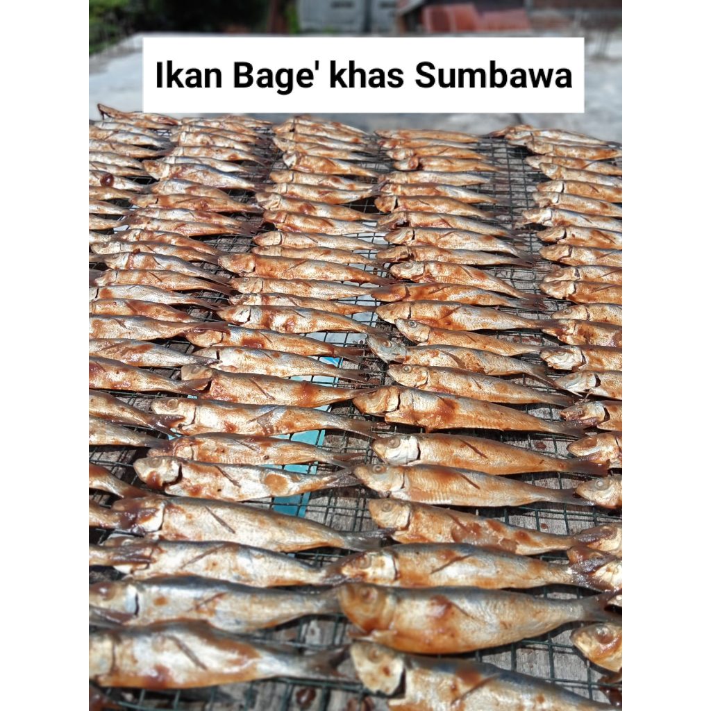 

IKAN ASIN ASLI SUMBAWA IKAN BAGE KHAS SUMBAWA DARI BALE SEAFOOD 150 GR Nikmati Keaslian Ikan Bage Khas Sumbawa yang Lezat Ikan Bage Khas Sumbawa, Ikan Asin Sumbawa Asli yang Menyajikan Kelezatan Tradisional IKAN ASIN ANEKA VARIAN IKANASINNUSANTARA