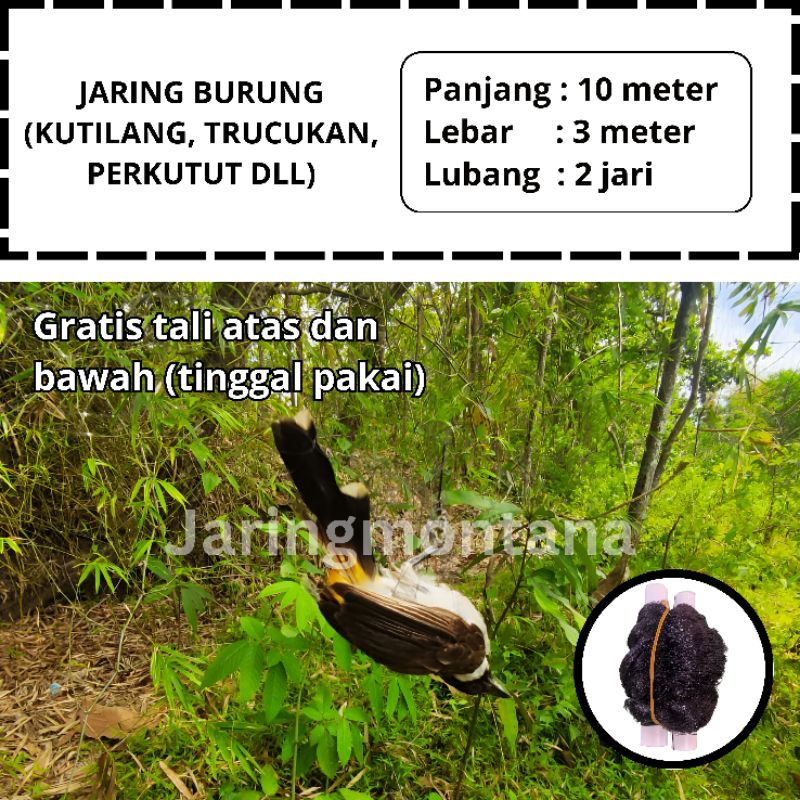 JARING BURUNG KUTILANG JARING BURUNG MURAI BATU JARING MONTANA JARING BURUNG SIAP PAKAI terlaris