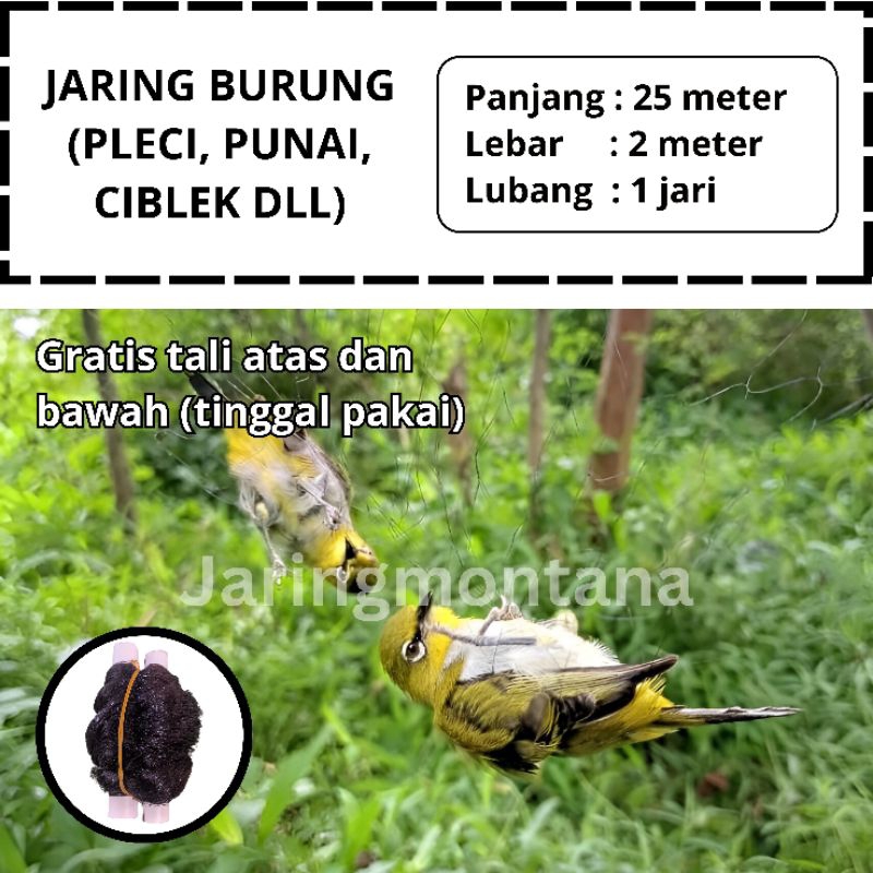 PIKAT JEBAKAN BURUNG SIAP PAKAI JARING BURUNG KECIL JARING BURUNG SAWAH