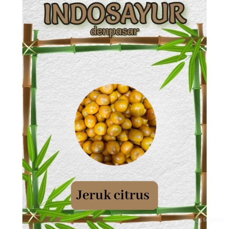 

Jeruk Mandarin 1kg _ INDOSAYUR