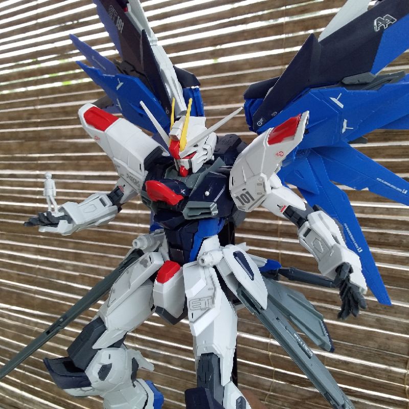 Freedom GUNDAM MG 1/100 Ver.2.0