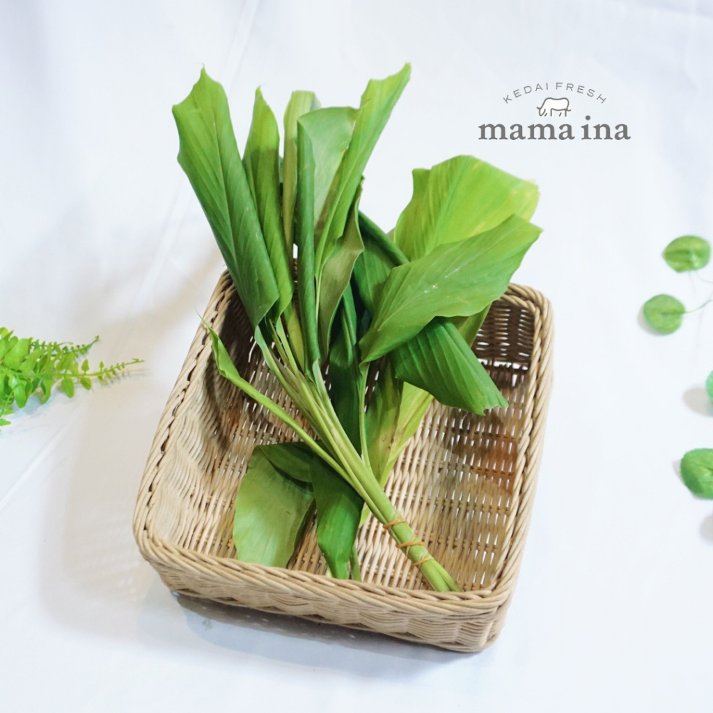 

Daun Kunyit