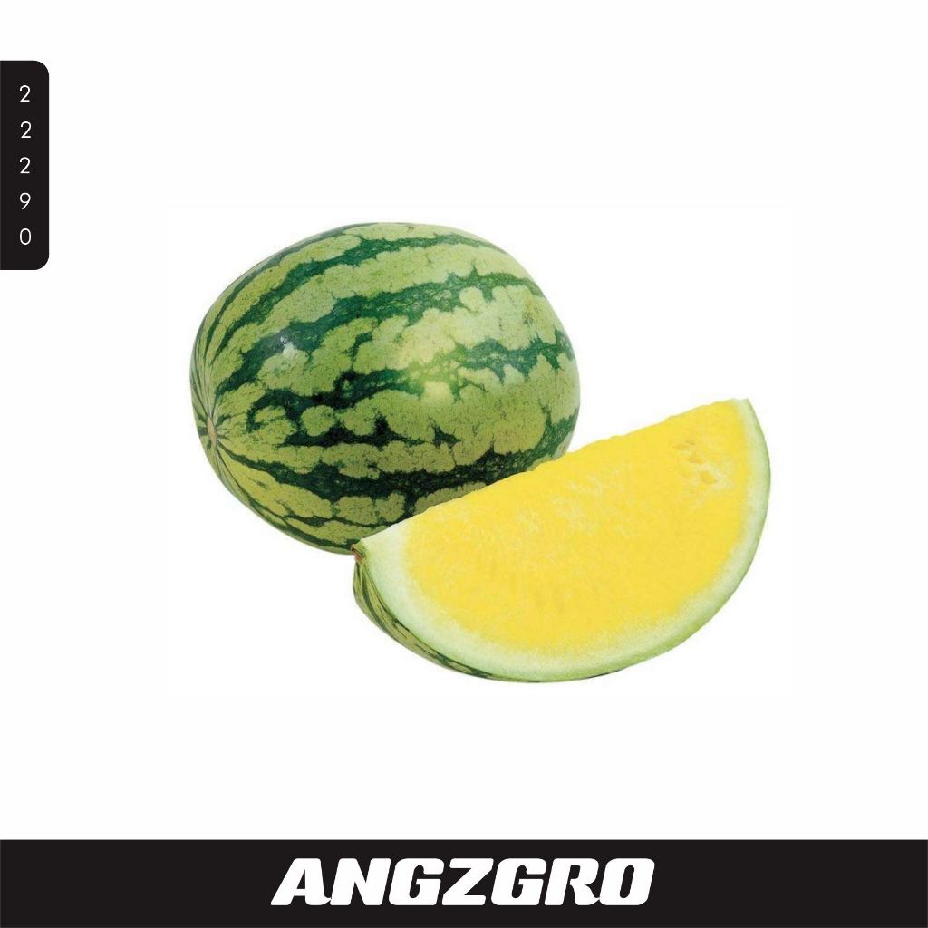 

Semangka Kuning 1 pcs / Pack