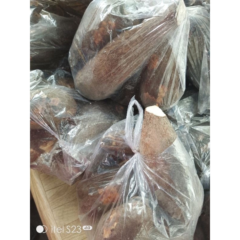 

UBI KAYU/SINGKONG KUNING/POHONG MEDUK/SINGKONG EMPUK