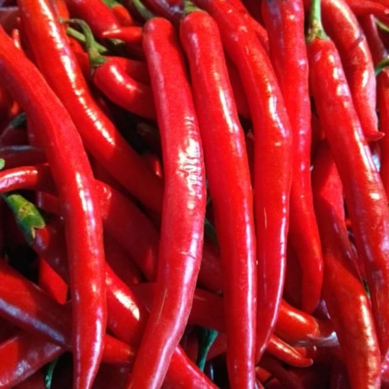 

cabe merah besar 500gr