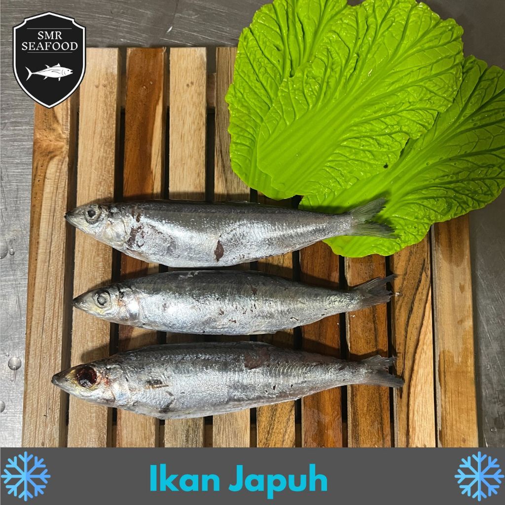 

Ikan Japuh / Rainbow Sardine | Frozen Beku Utuh 1KG / 500gr