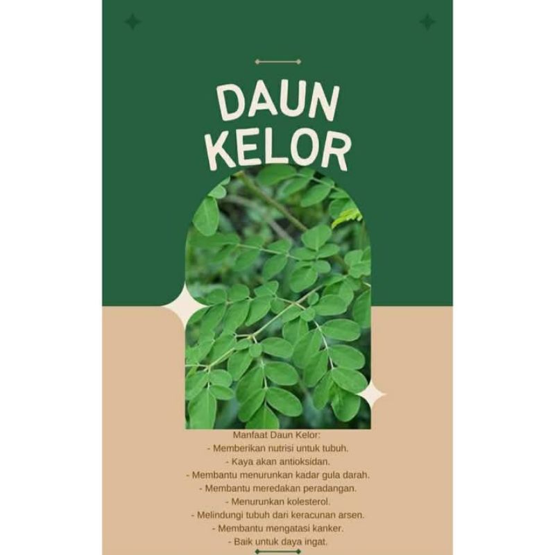 

Daun kelor Fress dr pohon 1 ikat
