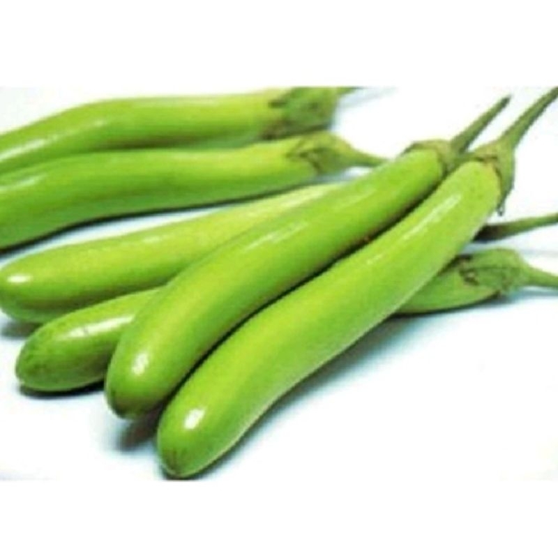 

Terong hijau fresh 500 gram