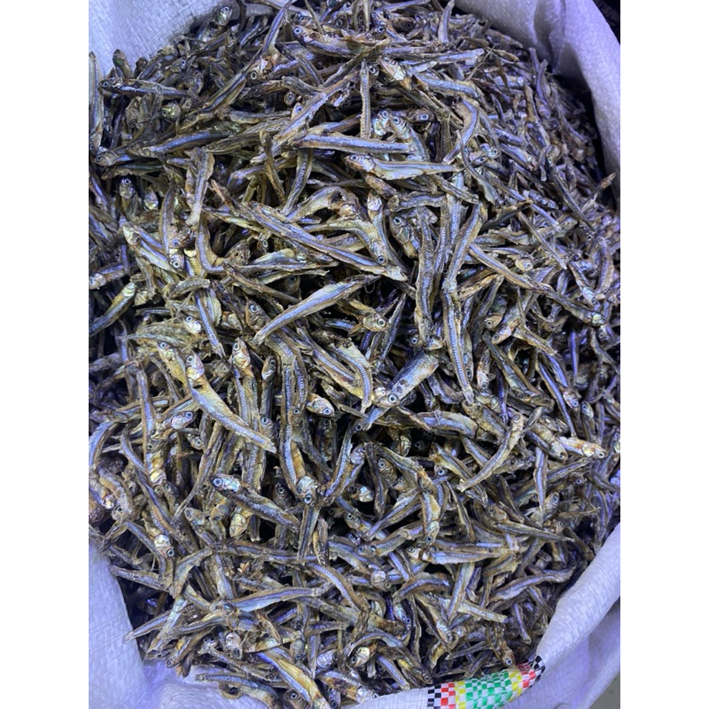 

ikan teri tawar
