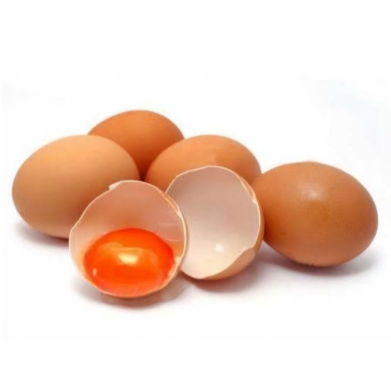 

Telur OMEGA-3 fresh (per KG)