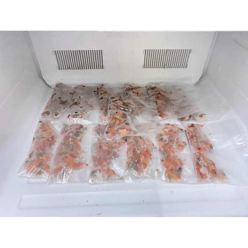 Anakan Burung Puyuh Frozen Mini Pack isi 7pcs