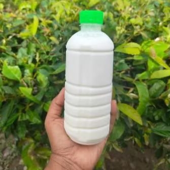 

susu kambing etawa cair murni 500 ML murah banget