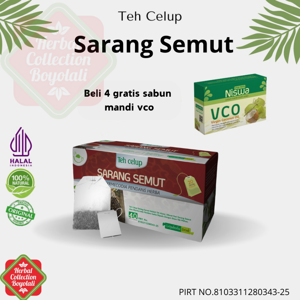 

teh sarang semut Minuman Anti Kanker dan Obat Kanker Teh Herbal SARANG SEMUT PAPUA isi 20 Kantung Original