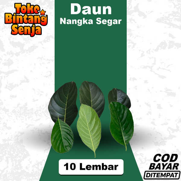 

Daun Nangka Segar 10 Lembar Obat Herbal Bungkus Kue Tradisional Apem Kerajinan Tangan Kolase