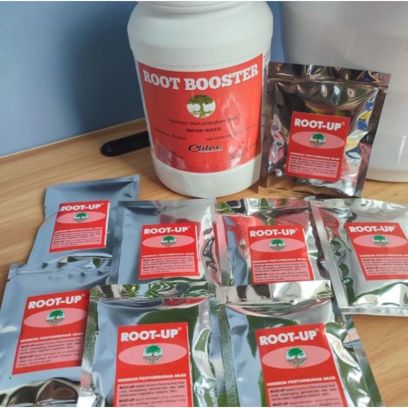 ROOT UP PENUMBUH AKAR