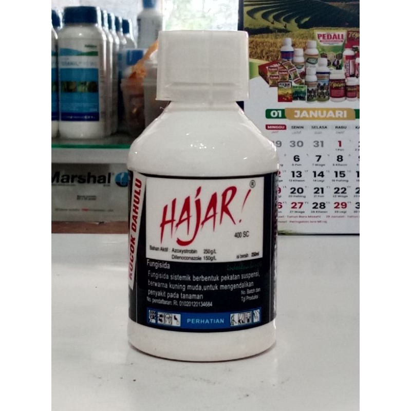 FUNGISIDA HAJAR 400SC SISTEMIK